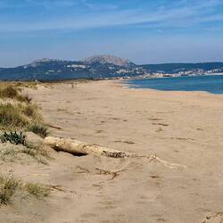 Strand bei Mas Pinell