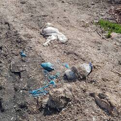 ...wir verstehen es einfach nicht 😥