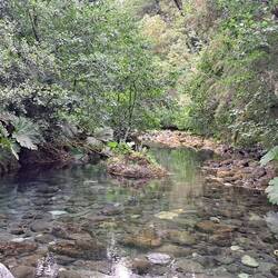 Und auch die Umgebung im Regenwald ist ganz cool.