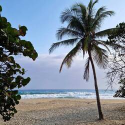 Playa Brava