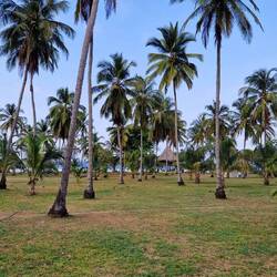 Endlich sehen wir ihn: den Playa Brava