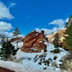 Red rock and snow will always be our favourite thing about this trip