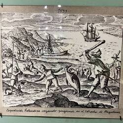 1599 macht eine holländische Expedition Jagd auf Pinguine.