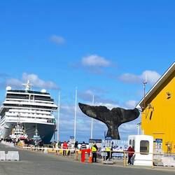 Die "Marina" hat im Hafen von Punta Arenas für einige Stunden angelegt.