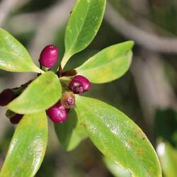 Auch am Weg gibt es einiges zu entdecken