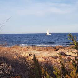 ...bloß keine Hektik 😉