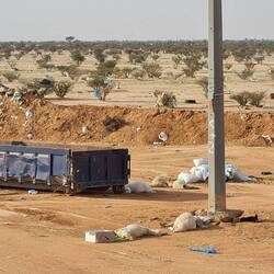 A rubbish container amidst the rubbish with dead sheep lying all around