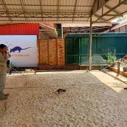 HeroRatte bei der Arbeit 🐀💣