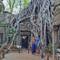 Ta Prohm