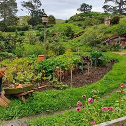 So viel Liebe zum Detail. Als würde hier wirklich jemand wohnen.