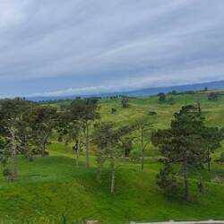 Ausblick aus dem Bus.