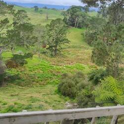 Fahrt durch gaaaanz viel Feld und Wiesen. 30.000 Schafe sind hier Zuhause