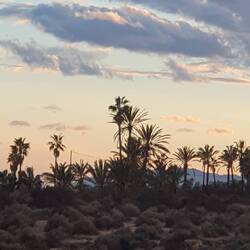 Abenstimmung - Blick vom Womi aus.
