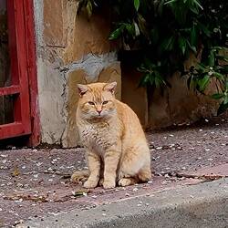 So ganz ausgestorben war der Ort doch nicht
