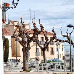 Leider noch geschlossen