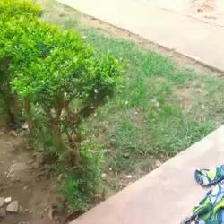 Even wat helpen met zware zaken wordt geapprecieerd