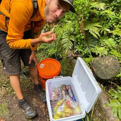 "Trail magic": une glacière pleine de boissons, pommes, et biscuits gratuits, au milieu de la forêt!