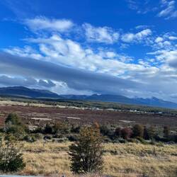 Plötzlich tauchen Büsche und im Hintergrund auch Berge auf.