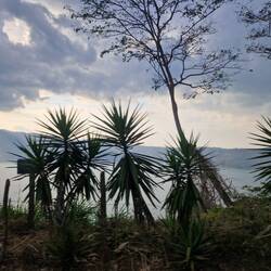 Weiterreise via Cerro Verde zum Strand