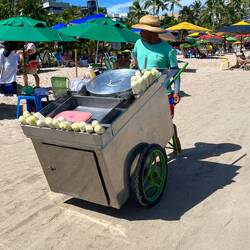 Steamed corn anyone?