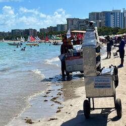 Lots of food vendors