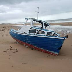 Liegt wohl schon was länger am Strand