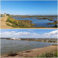 Las Marismas