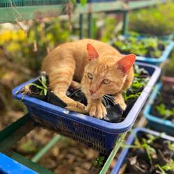 Katze findet es hier auch toll