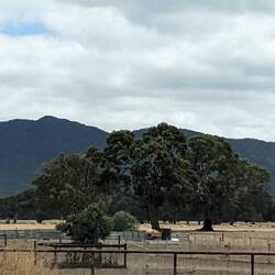 Grampians