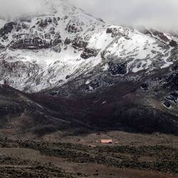 Fast schon etwas unheimlich...