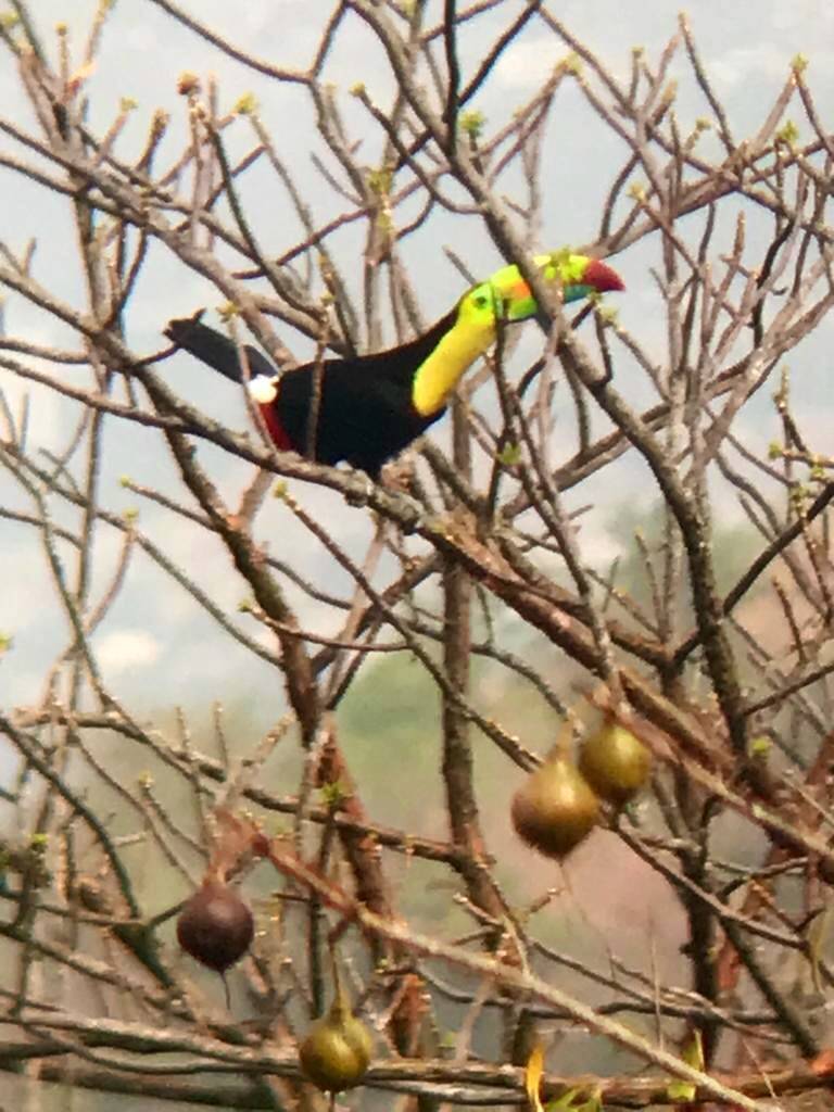 Vom Frühstückstisch aus