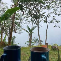 Aussicht fehlt, Kaffee und Kakao gut