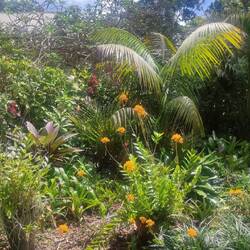 Unser Ausblick von der Terrasse. Viel Privatsphäre.