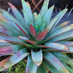 Hm...da stimmt doch etwas nicht.