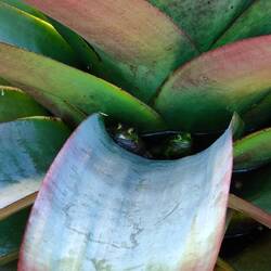 Ach, Hallo ihr zwei :)