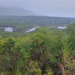 Over looking Tidal River and the camping area