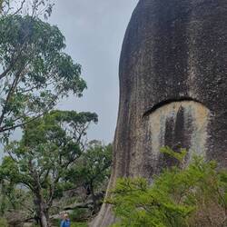 Granite rocks near tidal River lookout - we sat on top of this one