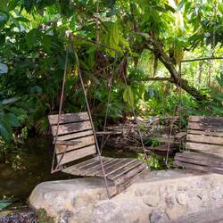 Die Hängestühle über dem Fischbecken...