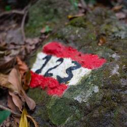 Nachmittags-Wanderung - mit korrekt beschrifteten Wegen💪🏼😄