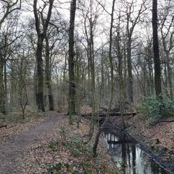 Ein Bach...