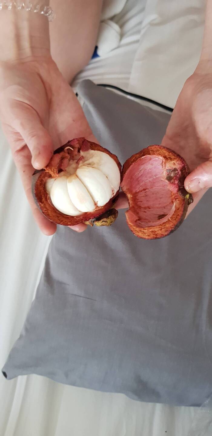 Mangosteen