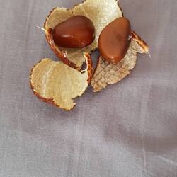 Snake Fruit nach dem Essen