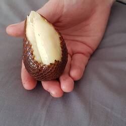 Snake Fruit