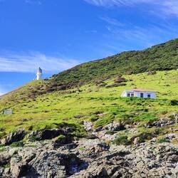 Die Insel Cape Brett mit seinem Leuchtturm, der allerdings nicht mehr in Betrieb ist.