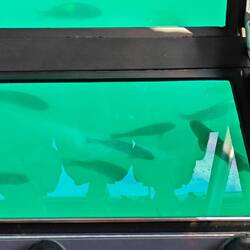 Glasboden, der dann am kleinen Hafen für 10 Minuten geöffnet wurde.