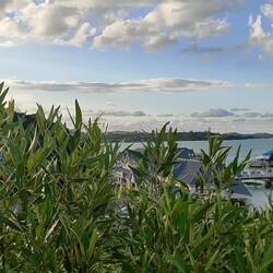 Und da fliegt er!!! :)