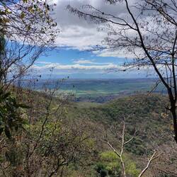 A view from the top of the falls
