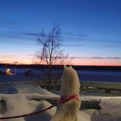 Der Himmel am Flughafen (direkt an der Landebahn) war eine wahre Pracht. Das Schönste in Rovaniemi.
