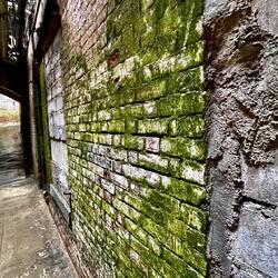 The moss is evidence of how much moisture is in the prison