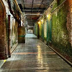 Moss covered hallway in Alcatraz